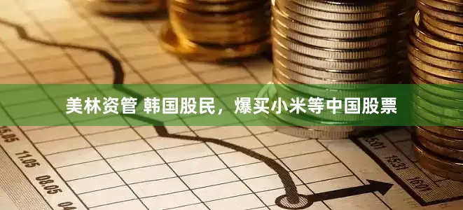 美林资管 韩国股民，爆买小米等中国股票