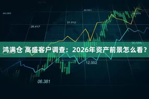 鸿满仓 高盛客户调查：2026年资产前景怎么看？